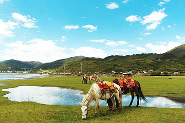 纳帕海骑马场第 1 张图片