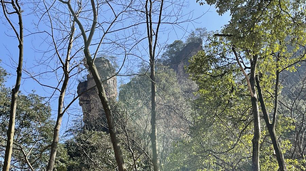 袁家界景区-骆驼峰第 1 张图片