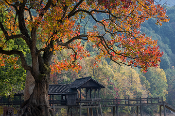 富春桃源风景区第 13 张图片