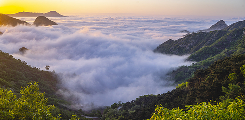 山东香山国际旅游度假区第 5 张图片