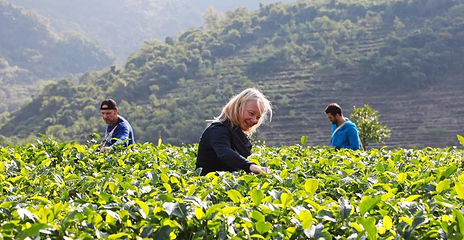 积庆里红茶谷第 55 张图片