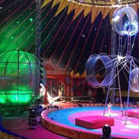 商丘市虎跃动物王国