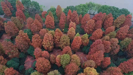 大千天鹅湖庄园第 84 张图片