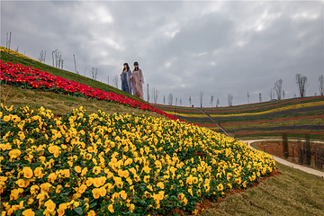 衡阳花奇里生态旅游区第 9 张图片