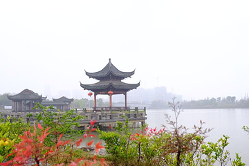古后河绿廊第 6 张图片