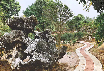 石壁湖禾雀花王国第 10 张图片