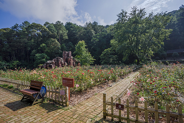经律论文化旅游小镇第 59 张图片