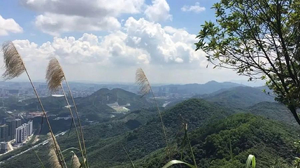 青山第 1 张图片