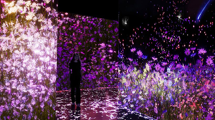 Arte Museum 江陵第 1 张图片
