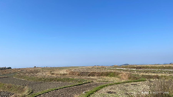 高坡扰绕村梯田