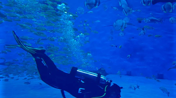 窥海潜水俱乐部