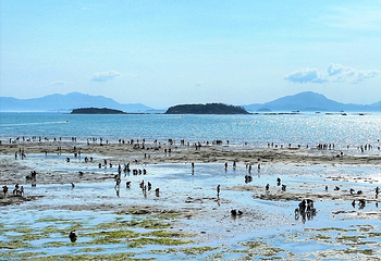 巽寮湾第 28 张图片