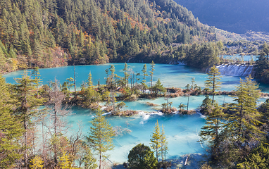 九寨沟风景区第 483 张图片