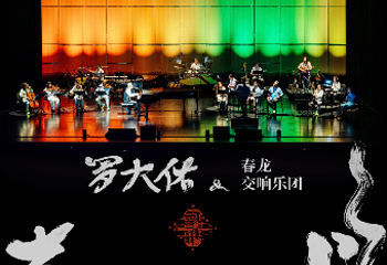 梅溪湖国际文化艺术中心大剧院第 18 张图片