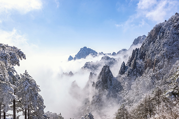 黄山风景区第 352 张图片