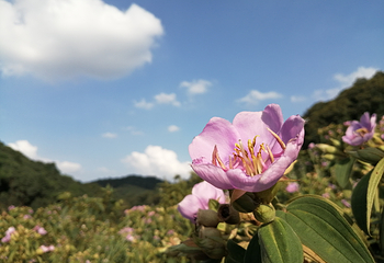 世间香境·七溪地第 25 张图片