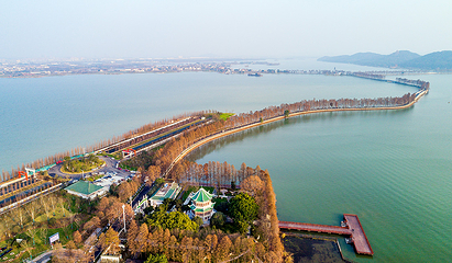 东湖绿道观光车第 6 张图片