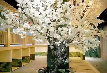 水悦汤泉(民丰大街店)第 11 张图片