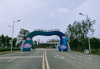 曹县黄河故道国家湿地风景区第 11 张图片