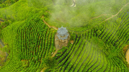 茶山金字塔第 1 张图片
