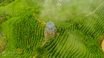 茶山金字塔第 2 张图片