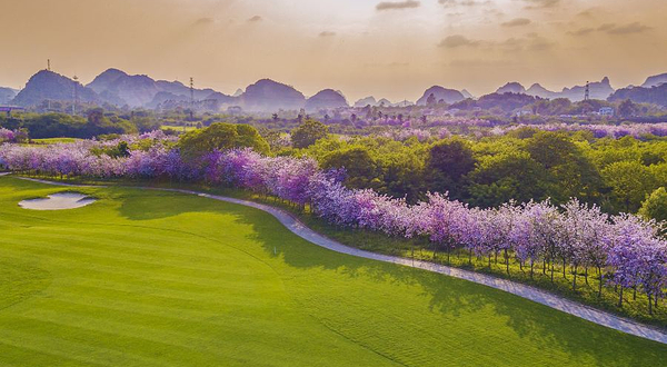 海雅柳江湾国际高尔夫俱乐部