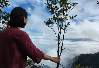 皇后山生态旅游度假区第 8 张图片