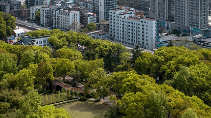 东山公园第 1 张图片