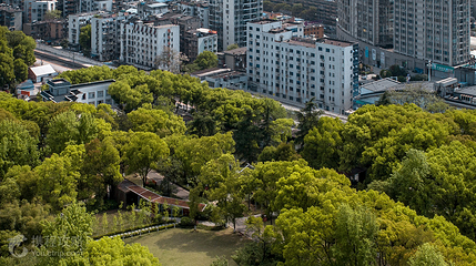 东山公园第 2 张图片