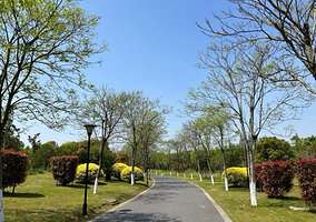 衢州城市森林公园