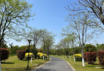衢州城市森林公园第 1 张图片
