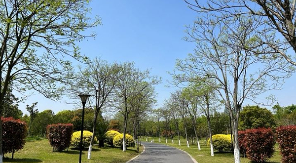 衢州城市森林公园