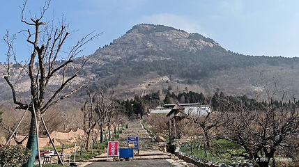凤凰山森林公园第 1 张图片