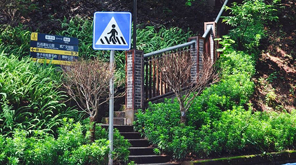 三层马路第 1 张图片