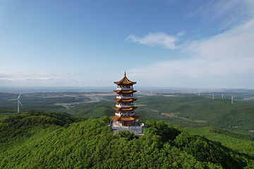 蜂蜜山第 3 张图片