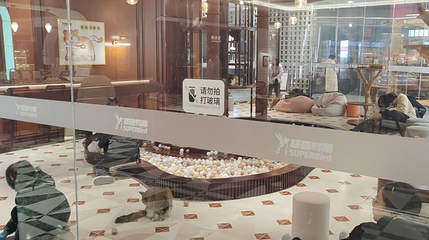 超级鸟局(百联又一城店)第 1 张图片