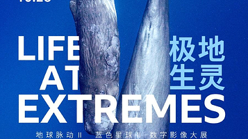 英国BBC EARTH极地生灵数字影像大展