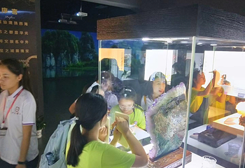 阆中古城地质矿物博览馆第 10 张图片