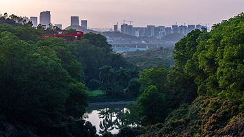 大顶岭山林公园