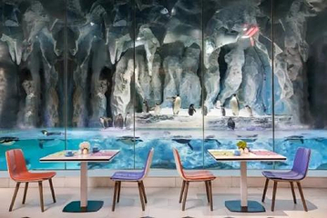 珠海长隆企鹅酒店•帝企鹅自助餐厅•儿童岛•真企鹅第 62 张图片