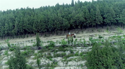 水泊梁山第 47 张图片
