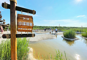 红海滩国家风景廊道第 133 张图片