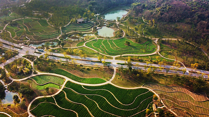 广阳岛第 5 张图片