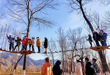 恋乡农场(玉米冒险村)第 46 张图片