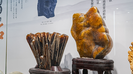 大墅龙山天造奇石馆第 21 张图片