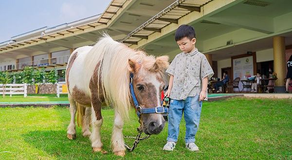 世骑家马术（奥体中心校区）