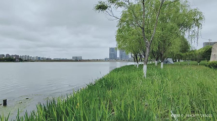 秦湖公园第 1 张图片