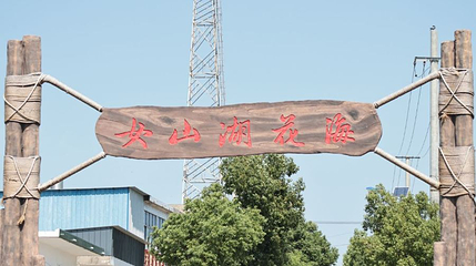 女山湖花海第 1 张图片