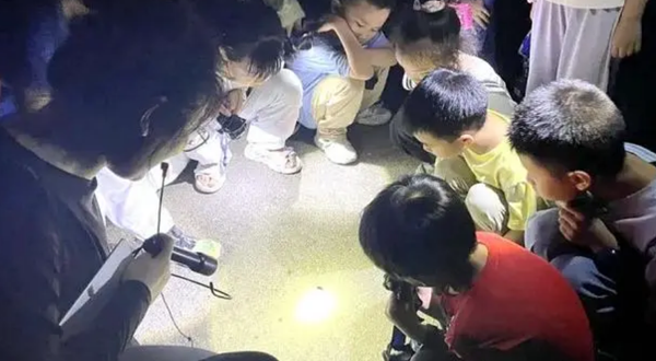 长沙生态动物园-动物科普区