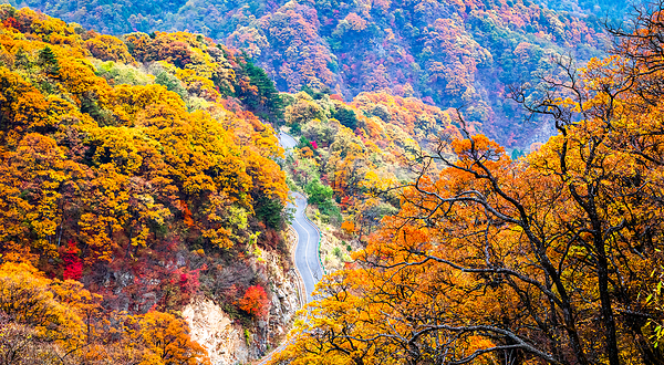 六安市金寨县马鬃岭风景区